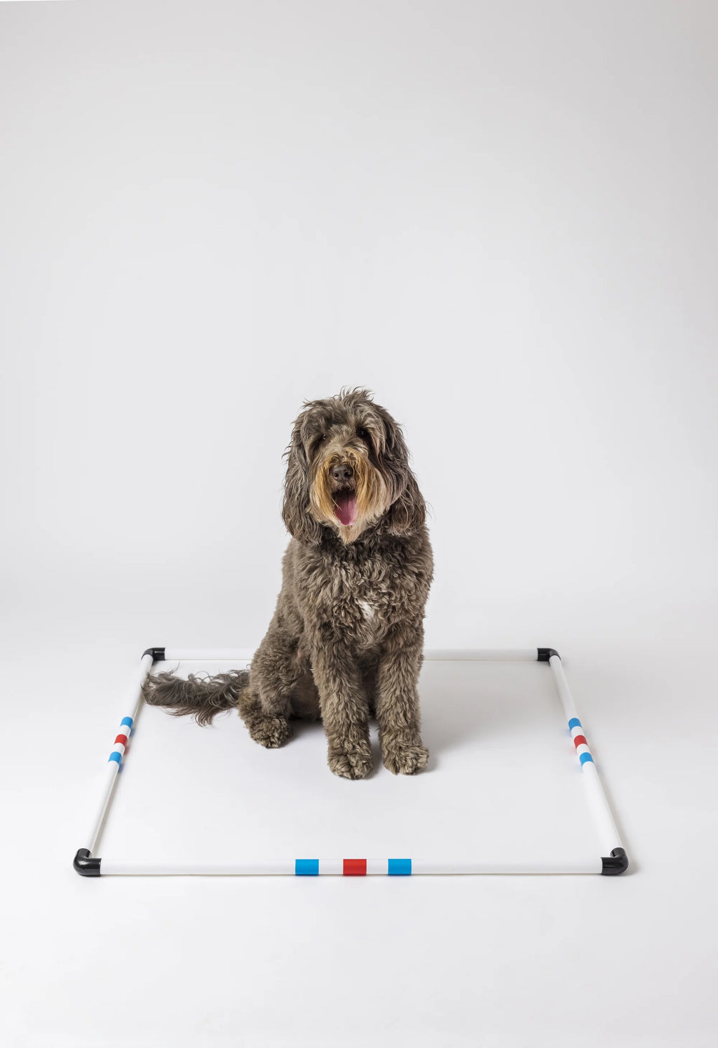 Dog Agility Pause Box W2979
