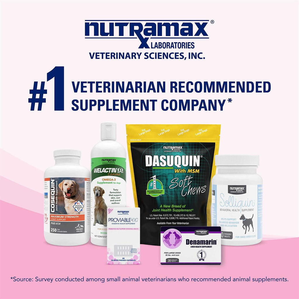Health Supplement Kit Dogs X341