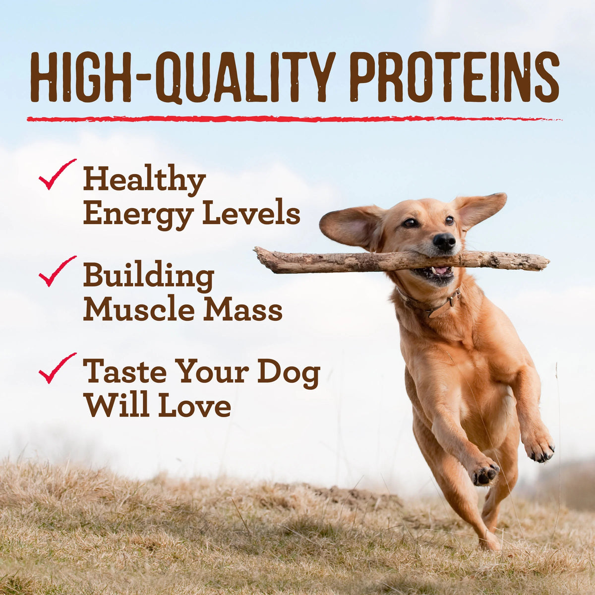 Grain Free Wet Dog Food 12.7 oz Cans T929480