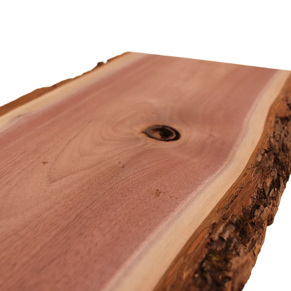 Live Edge Walnut Slab U45991