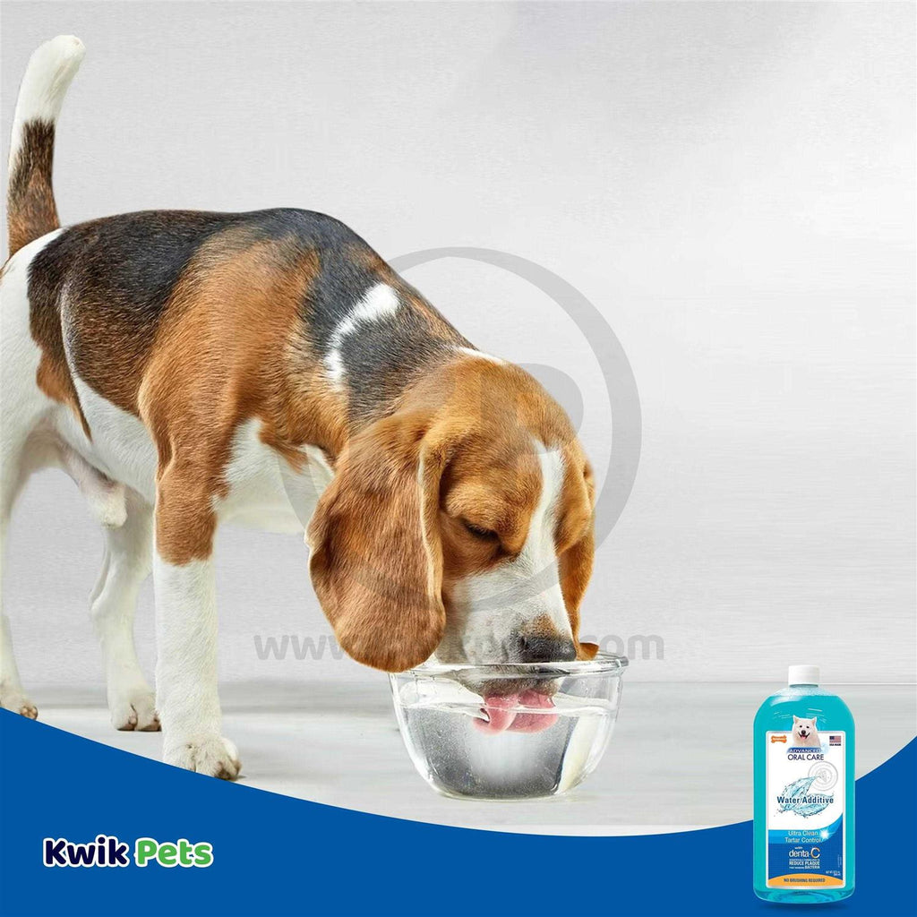 Liquid Tartar Remover Water Additive for Dogs L10610