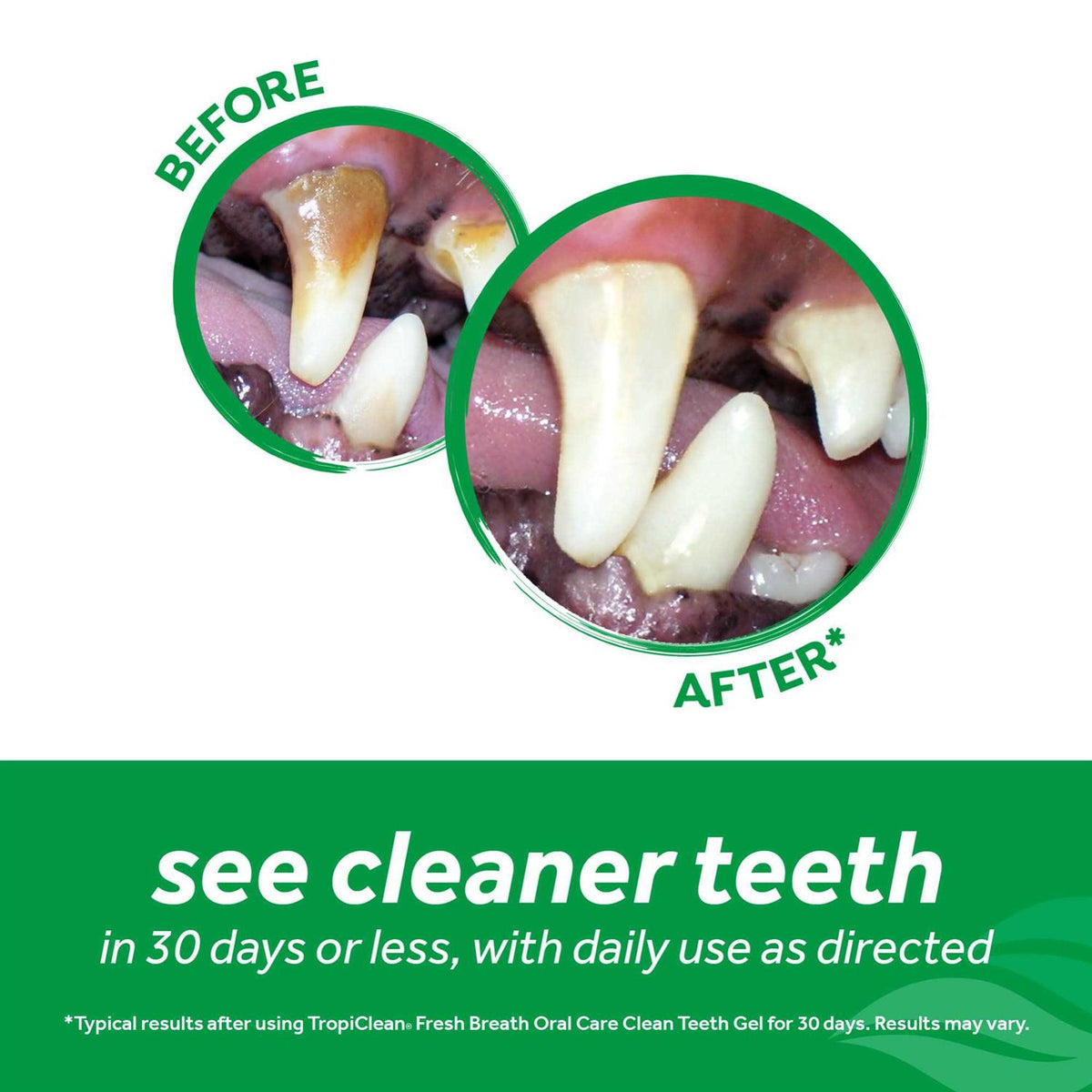 Clean Teeth Oral Care Gel F52903