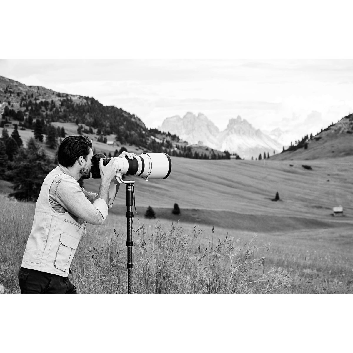 Carbon Fiber 4-Section Monopod D34408