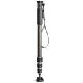 Carbon Fiber 4-Section Monopod D34408
