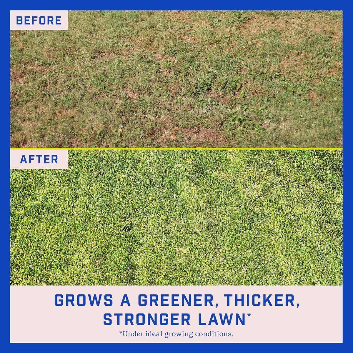 35 Pounds Grass Seed Mix Q6444