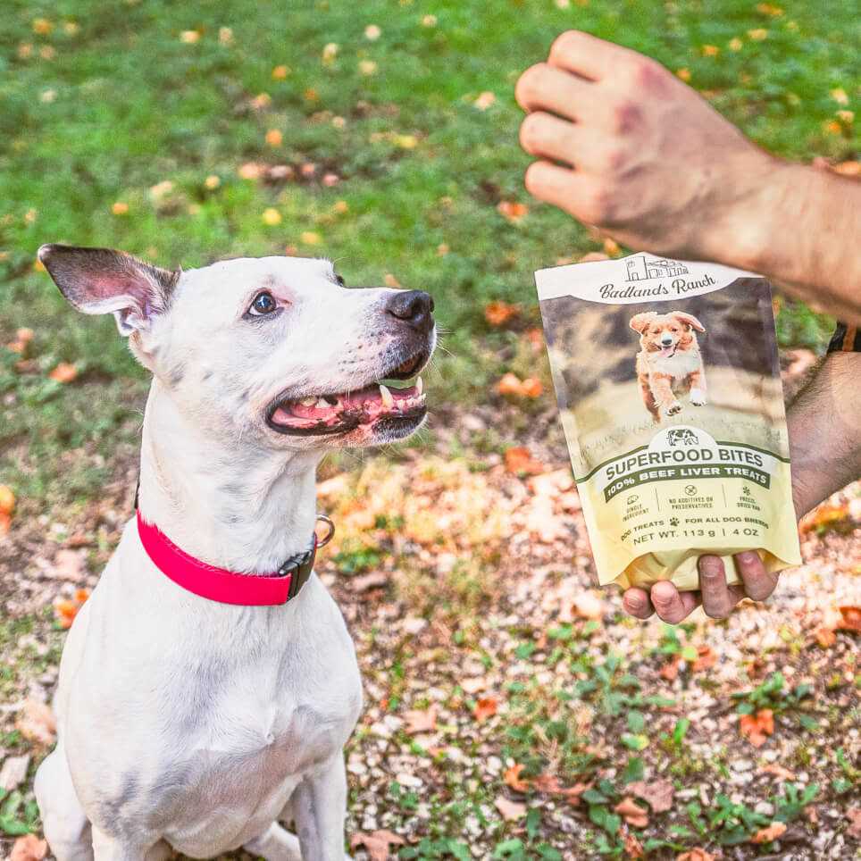 Beef Liver Treats 4 oz J429257