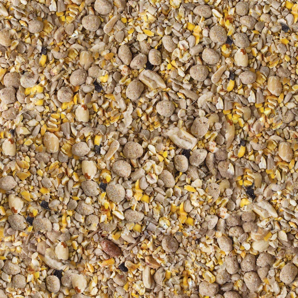 Seed & Suet Bird Food F281